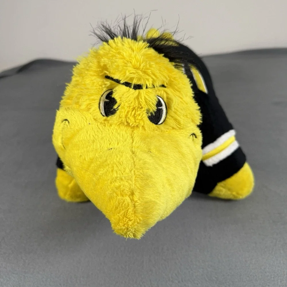 Iowa Hawkeyes Large 18